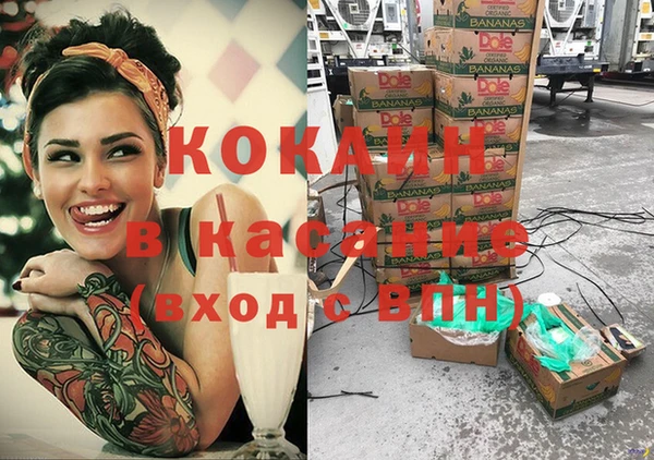 прущие крисы Каменка