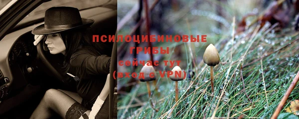 кристаллы Инта